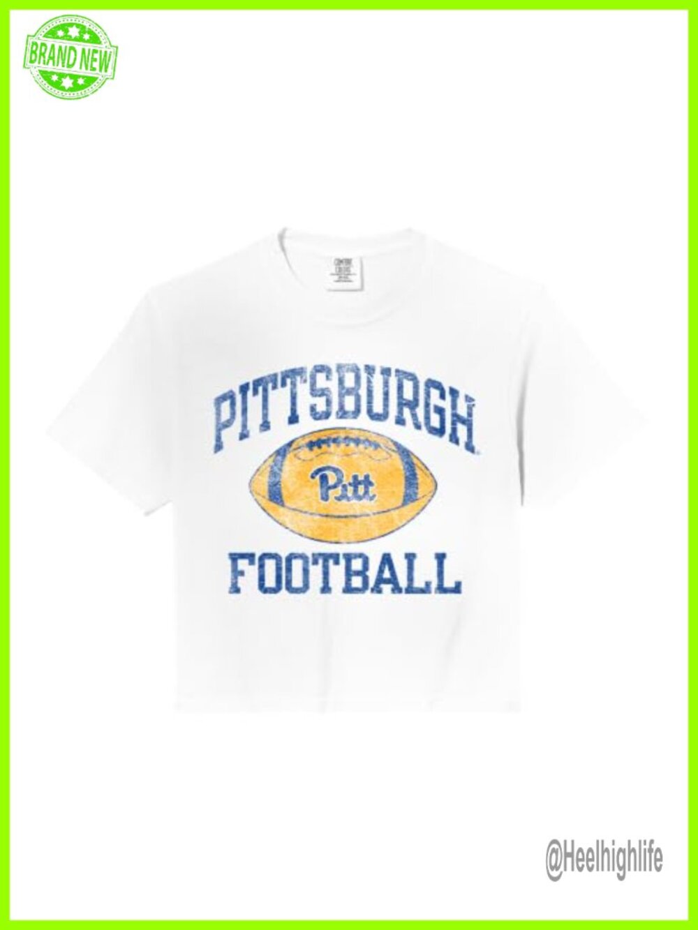 Comfort Colors Vintage Crop Top Soft-Washed Pittsburgh Panthers